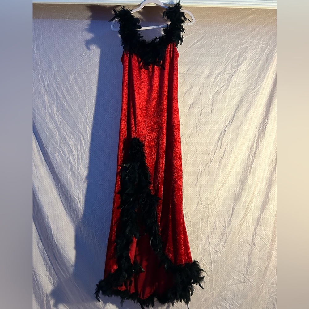 Rubie's Red and Black Feathered Costume